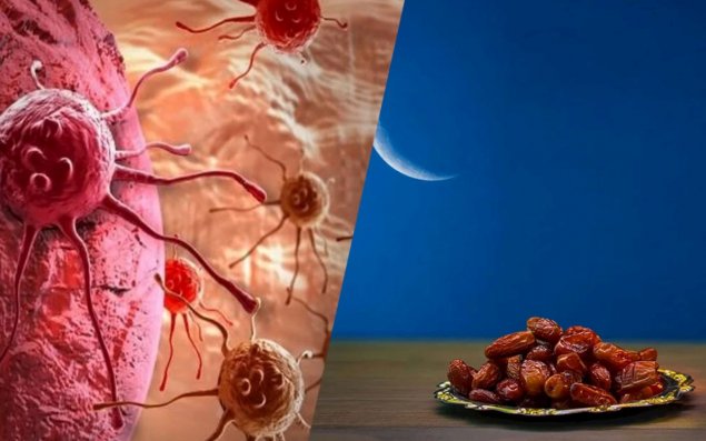 Oruc tutmaq xərçəng hüceyrələrini məhv edir — Elmi araşdırma