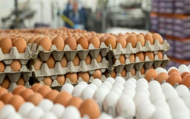 Azərbaycanda süni yumurta satılır? - Bu yolla ayırmaq olar