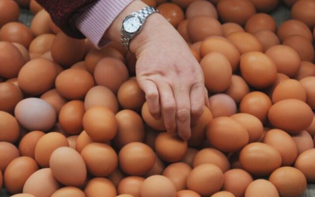 Azərbaycanda yumurta UCUZLAŞACAQ - TARİX
