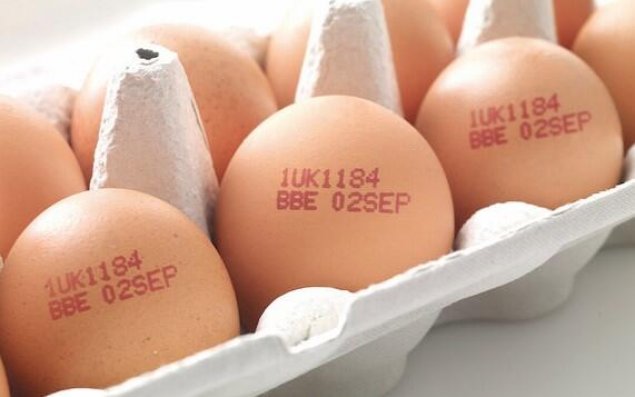 Yumurta alarkən mütləq koduna baxın - FOTO