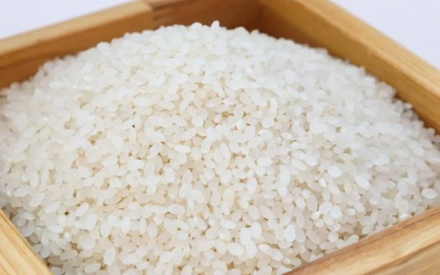 Dünya Bankı: Düyü ucuzlaşacaq