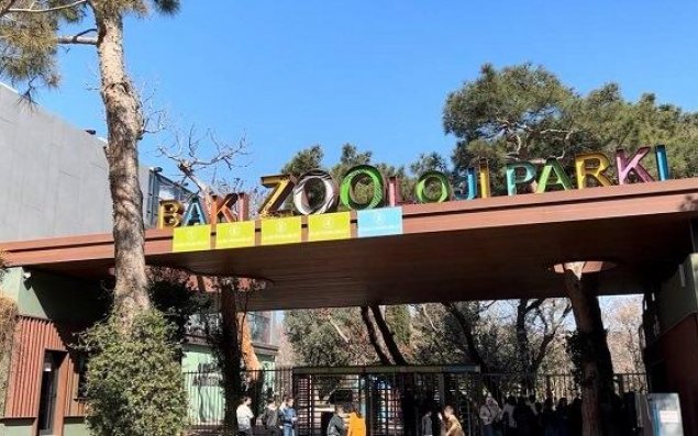 Bakı zooparkı ləğv olunur
