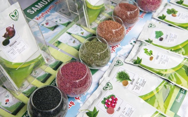 Toxumların ticarət dövriyyəsinə dair tələblər qoyulur