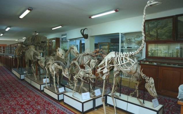 Bakıda 22,5 milyon manata muzey yaradılacaq