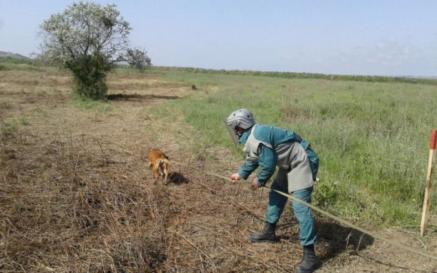 Ötən həftə 1706,4 ha ərazi minalardan təmizlənib